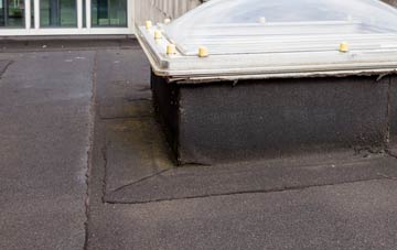 disadvantages of Dalblair flat roofs