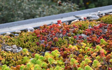 the cost of Dalblair green roof installation