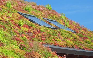 Dalblair living roof systems