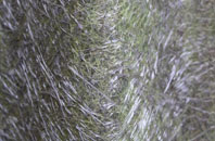 Dalblair fibreglass roof work