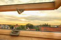 rated Dalblair roof window companies